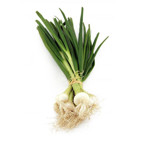 Oignon vert